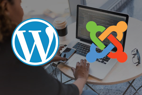 WordPress and Joomla Expert